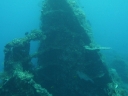 tulamben (35)